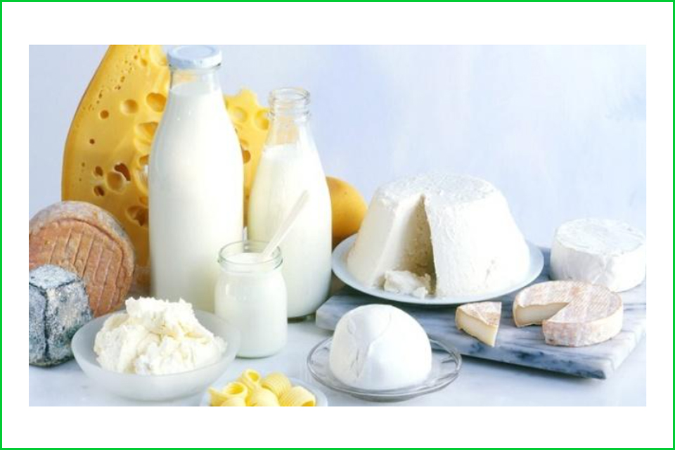 Kiểm nghiệm sữa và các sản phẩm từ sữa