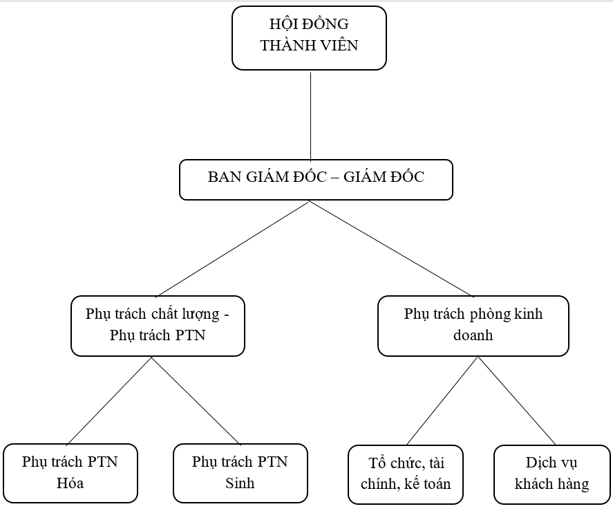 Sơ đồ tổ chức - nhân sự tại Khuê Nam’TSS